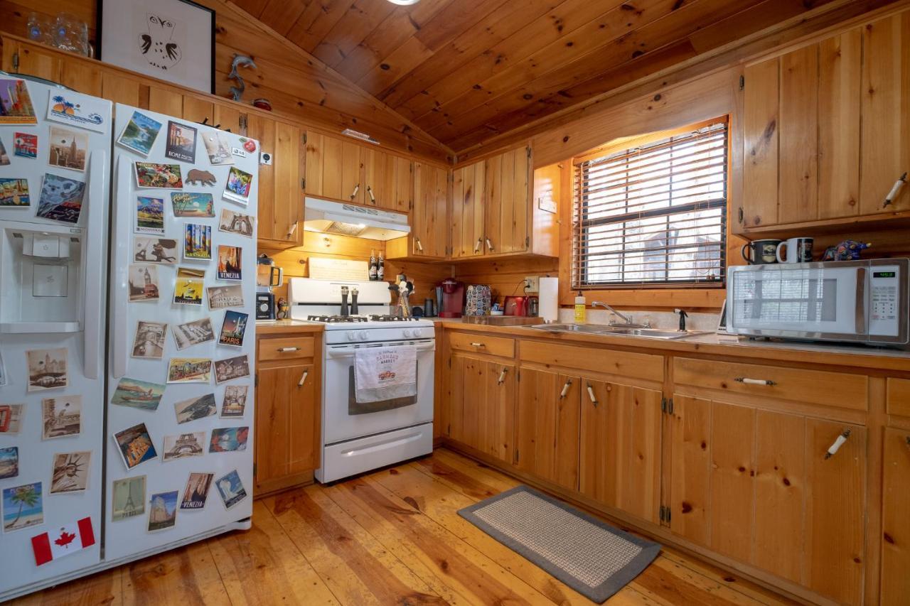 فيلا Three Dog Night - Pet-Friendly Cabin With Hot Tub بلو ريدج المظهر الخارجي الصورة
