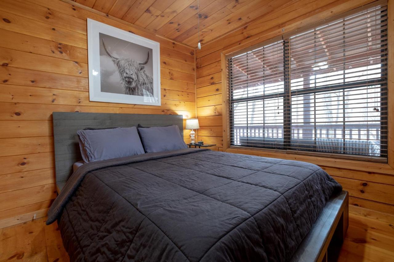 فيلا Three Dog Night - Pet-Friendly Cabin With Hot Tub بلو ريدج المظهر الخارجي الصورة