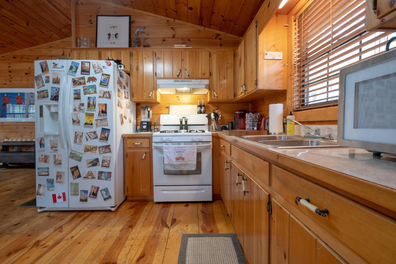 فيلا Three Dog Night - Pet-Friendly Cabin With Hot Tub بلو ريدج المظهر الخارجي الصورة
