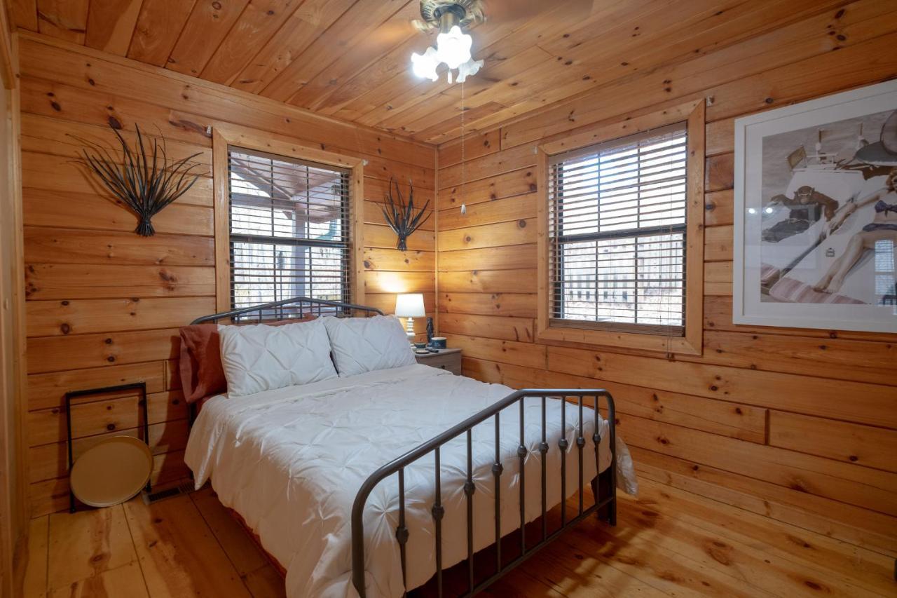 فيلا Three Dog Night - Pet-Friendly Cabin With Hot Tub بلو ريدج المظهر الخارجي الصورة