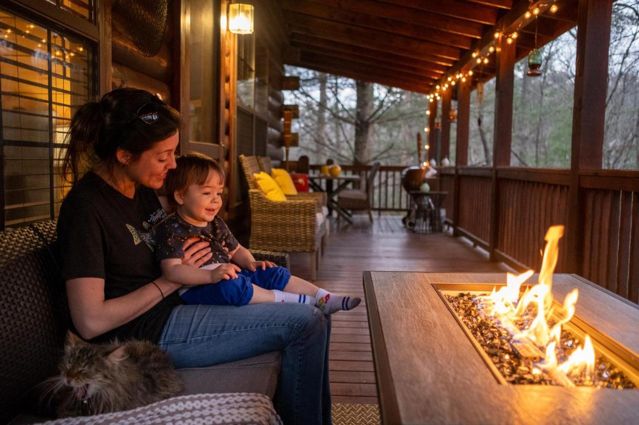 فيلا Three Dog Night - Pet-Friendly Cabin With Hot Tub بلو ريدج المظهر الخارجي الصورة