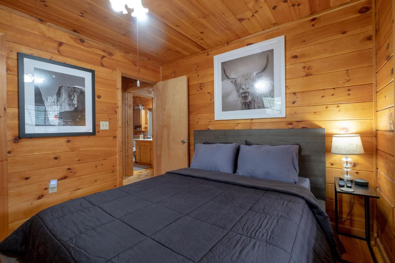 فيلا Three Dog Night - Pet-Friendly Cabin With Hot Tub بلو ريدج المظهر الخارجي الصورة