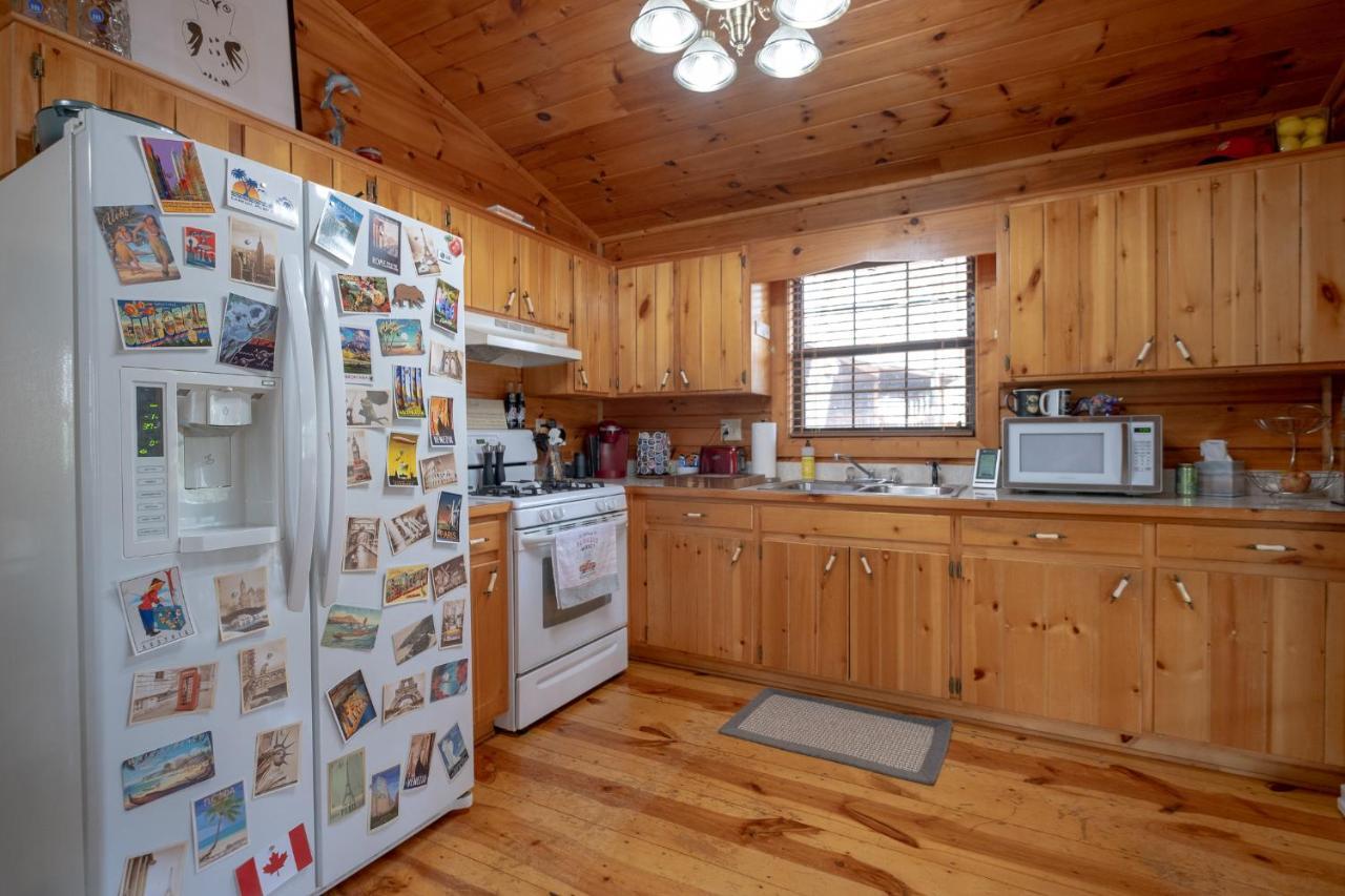 فيلا Three Dog Night - Pet-Friendly Cabin With Hot Tub بلو ريدج المظهر الخارجي الصورة