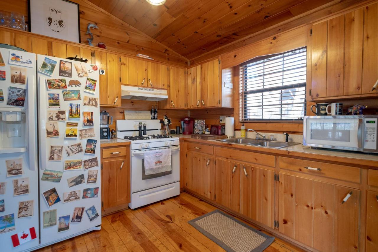فيلا Three Dog Night - Pet-Friendly Cabin With Hot Tub بلو ريدج المظهر الخارجي الصورة
