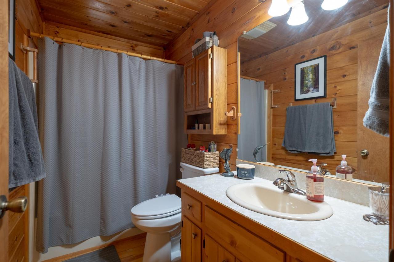 فيلا Three Dog Night - Pet-Friendly Cabin With Hot Tub بلو ريدج المظهر الخارجي الصورة