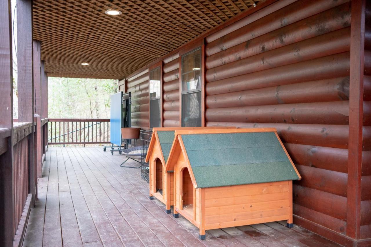 فيلا Three Dog Night - Pet-Friendly Cabin With Hot Tub بلو ريدج المظهر الخارجي الصورة