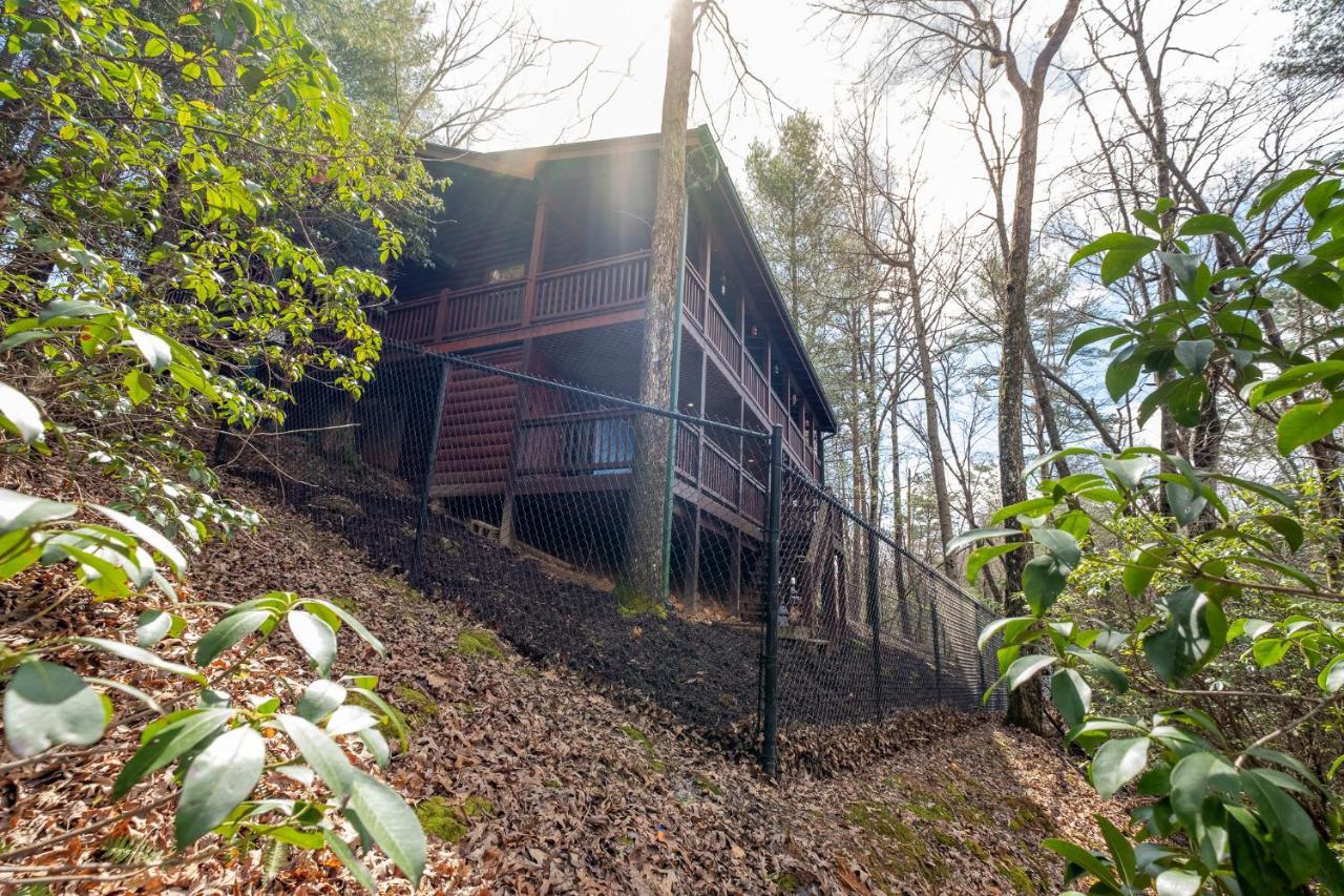 فيلا Three Dog Night - Pet-Friendly Cabin With Hot Tub بلو ريدج المظهر الخارجي الصورة