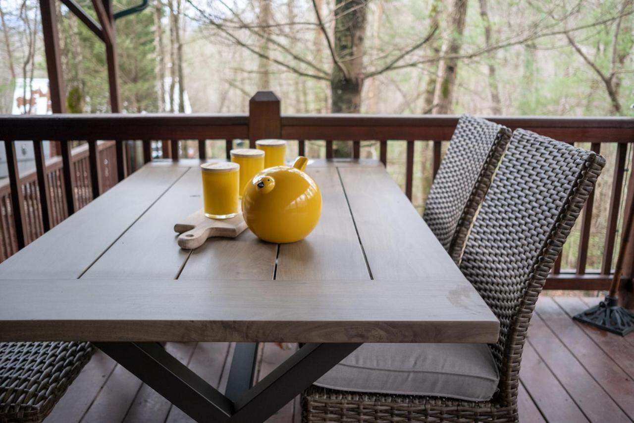 فيلا Three Dog Night - Pet-Friendly Cabin With Hot Tub بلو ريدج المظهر الخارجي الصورة
