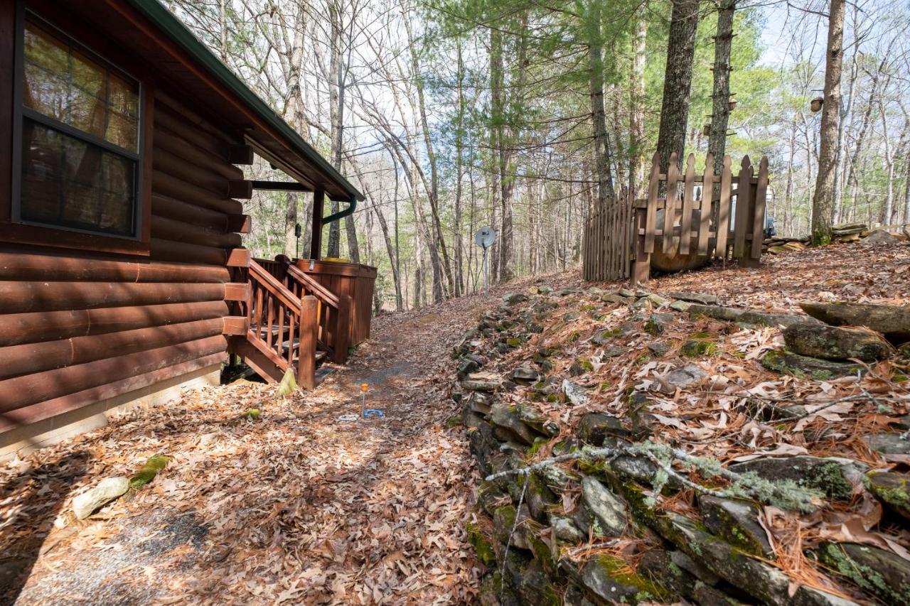 فيلا Three Dog Night - Pet-Friendly Cabin With Hot Tub بلو ريدج المظهر الخارجي الصورة